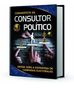 CONSULTOR POLÍTICO
