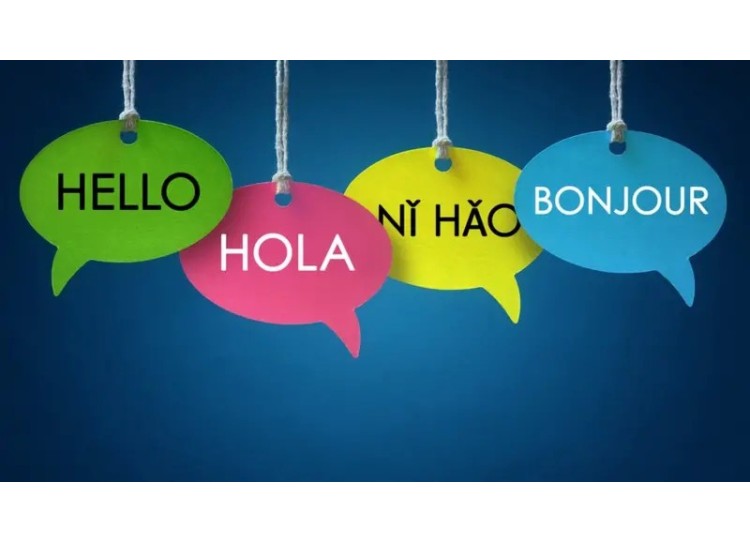 POR UN IDIOMA SIN "IDIOMO" POR UN IDIOMA SIN "IDIOMO"